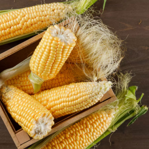 Corn